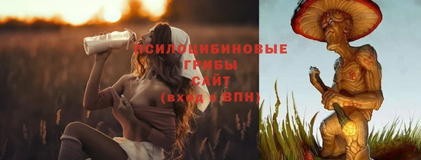 стафф Медногорск