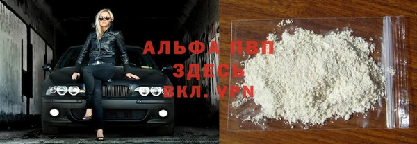 гашик Абаза